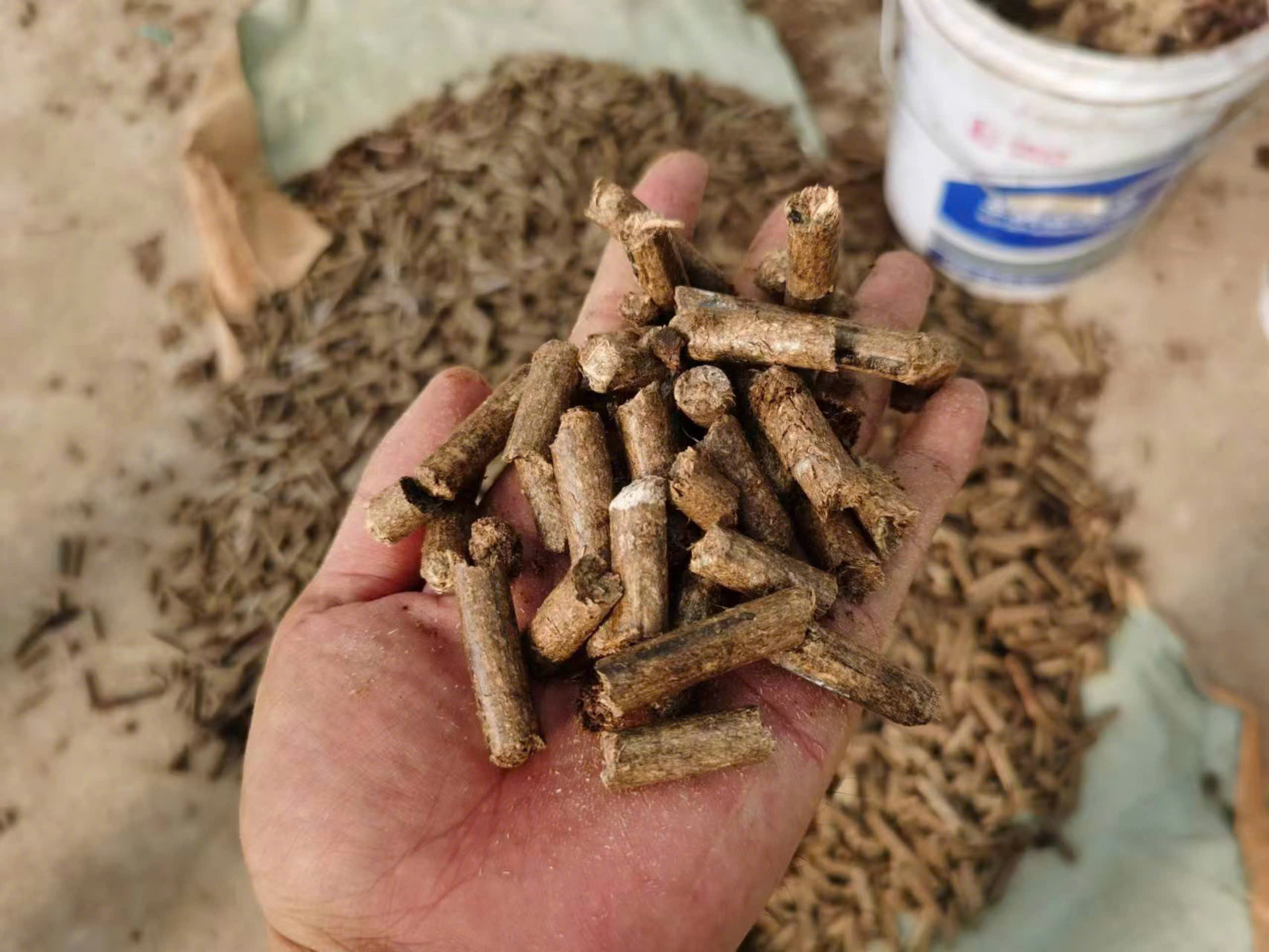 Cánh đồng cỏ voi