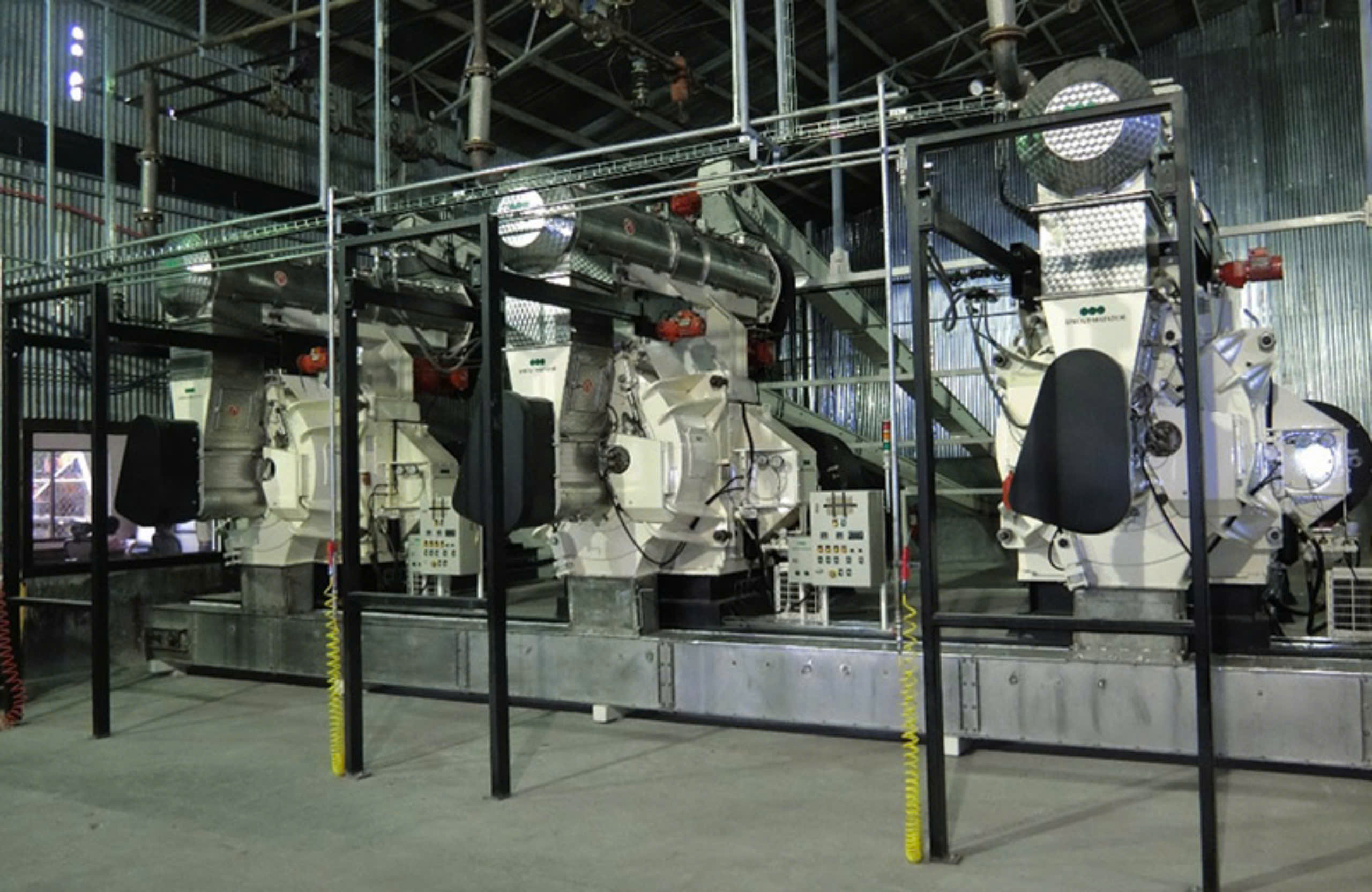 Cánh đồng cỏ voi