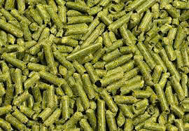 Viên nén sinh khối từ cỏ voi - đống lớn