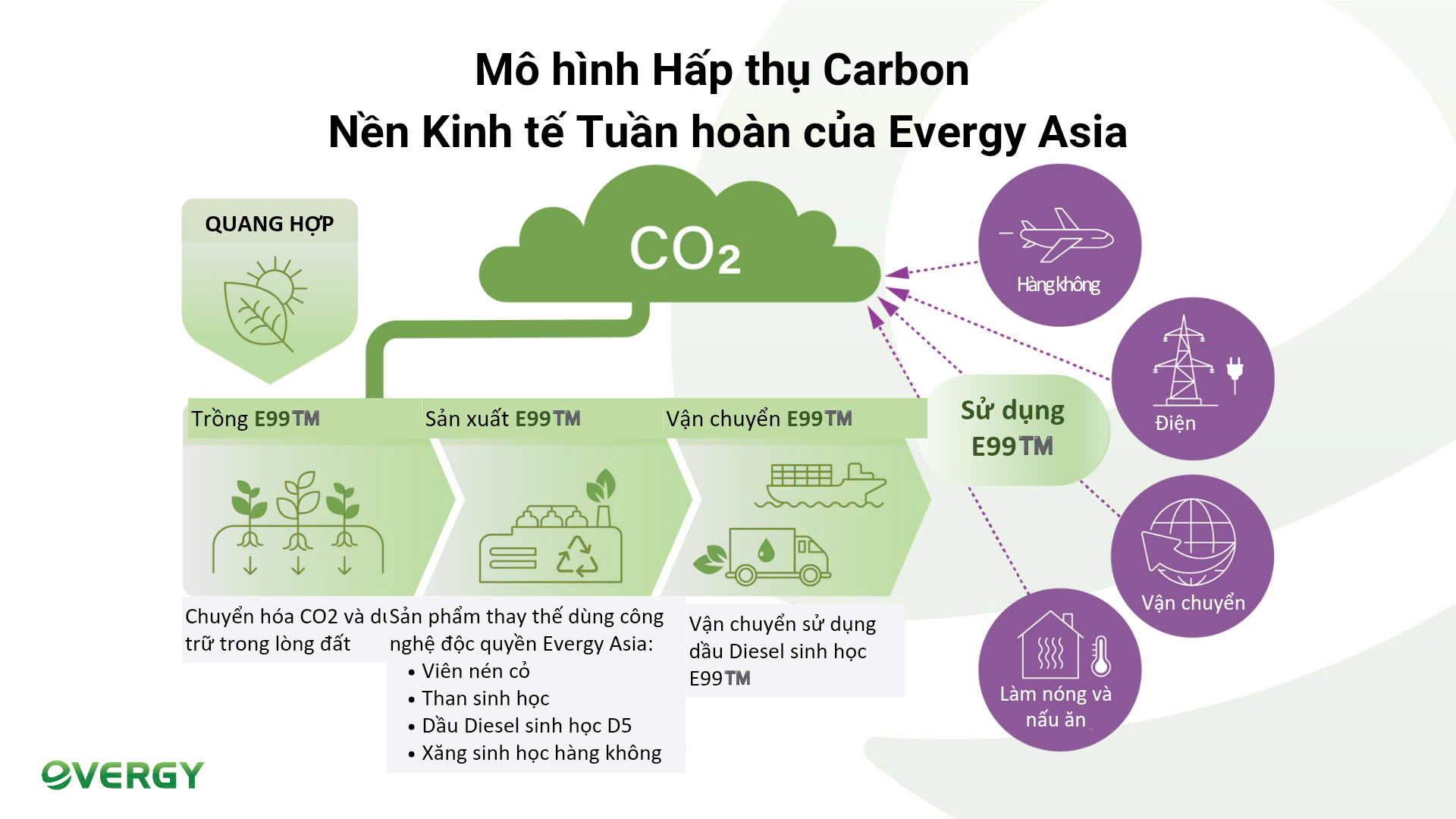 Mô hình Hấp thụ Carbon - Nền Kinh tế Tuần hoàn của Evergy Asia